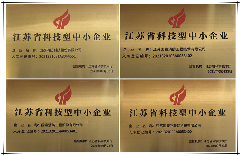 喜訊！國(guó)泰集團(tuán)下屬多家公司獲“科技型中小企業(yè)”認(rèn)定